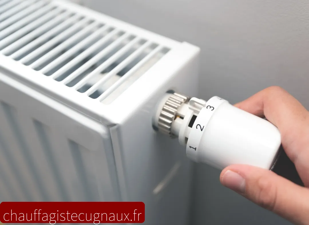 Remplacement de Thermostat Cugnaux